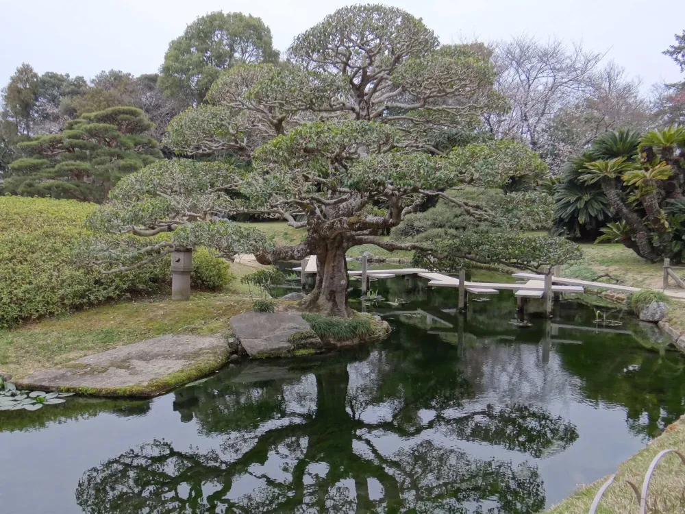 Arbre